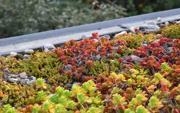 the cost of Newlands Of Tynet green roof installation