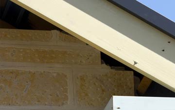 soffit repair Newlands Of Tynet